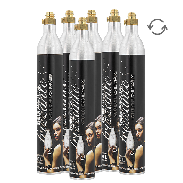 6 x CO2 Tausch-Zylinder